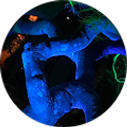 Profile photo of Troy Nelson