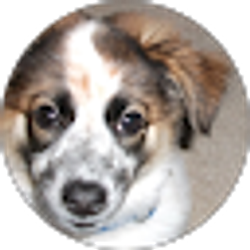 Profile photo of Ronald Bein