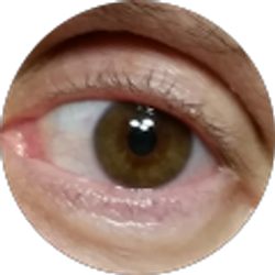 Profile photo of Dennis C