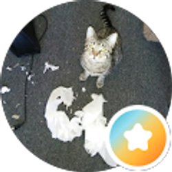 Profile photo of May Bee