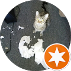 Profile photo of May Bee