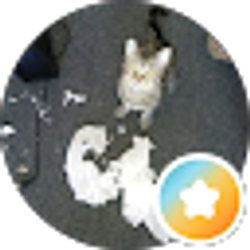 Profile photo of May Bee