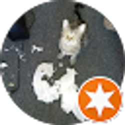 Profile photo of May Bee