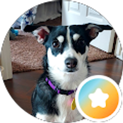 Profile photo of Gail S