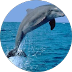 Profile photo of Hannah Pidala