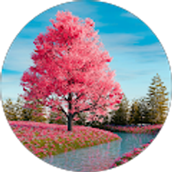 Profile photo of Harry