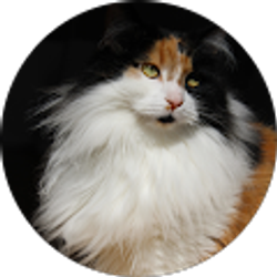 Profile photo of Maria Newton