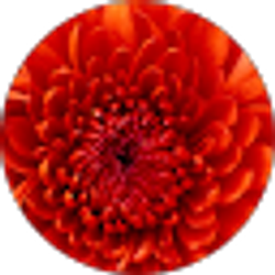 Profile photo of Reynoldo “Rey Acewall” Wallace