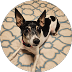 Profile photo of Kandace Hughes