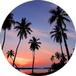 Profile photo of David L