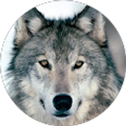 Profile photo of Marc Zimmerman