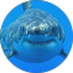 Profile photo of Nodnarb