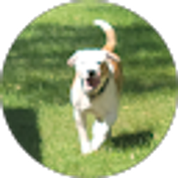 Profile photo of Christina Swinehart