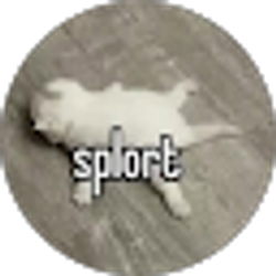 Profile photo of Lillian Little