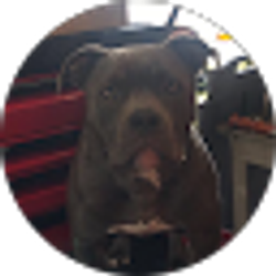 Profile photo of Colton Powers