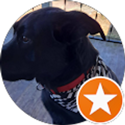 Profile photo of Blue Johnny