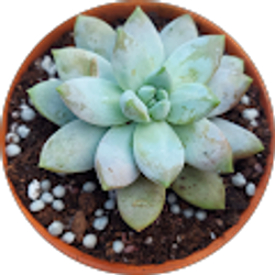 Profile photo of Jane Gagnon