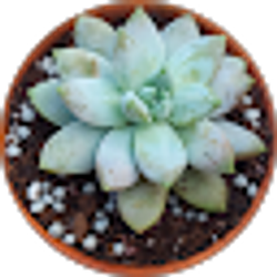 Profile photo of Jane Gagnon