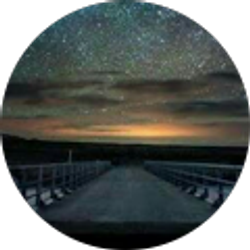 Profile photo of Silvia Flores