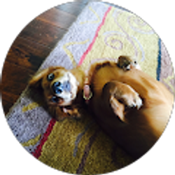 Profile photo of Marie Masarova