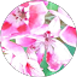 Profile photo of Catherine Rose