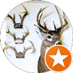 Profile photo of Matt allin