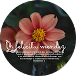 Profile photo of Felicita Citlali Mendez