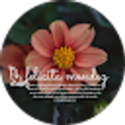 Profile photo of Felicita Citlali Mendez