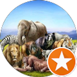 Profile photo of JORGE ORTIZ