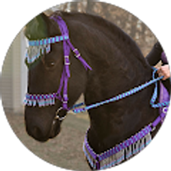 Profile photo of Kimberly Rumbea