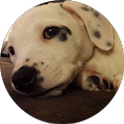 Profile photo of Devon Bivens