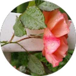 Profile photo of Suzanne Marie