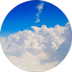 Profile photo of Mike Bonifati