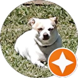 Profile photo of Michael Ramage