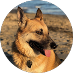 Profile photo of Karen Dillon