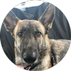 Profile photo of Jordy