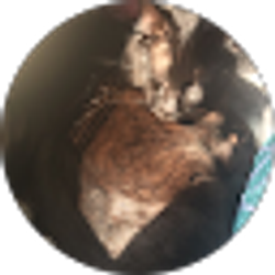 Profile photo of Courtney Arabie