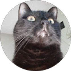 Profile photo of Rosa Goodman