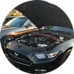 Profile photo of Chayce Imler