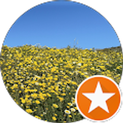 Profile photo of Gopi Chaparala