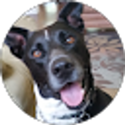 Profile photo of Chris West