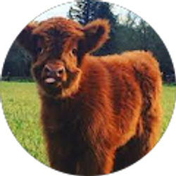 Profile photo of Lily West