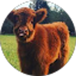 Profile photo of Lily West