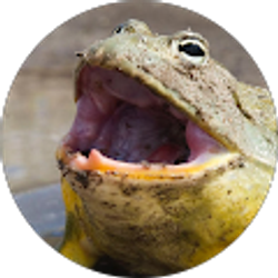 Profile photo of Pollywoggus