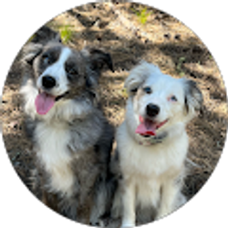 Profile photo of Jeanette Klugherz