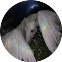 Profile photo of Rocky Myers