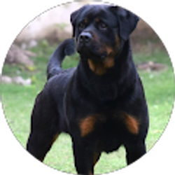 Profile photo of MCLEROY MIKUSKI