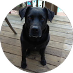 Profile photo of Bonnie King