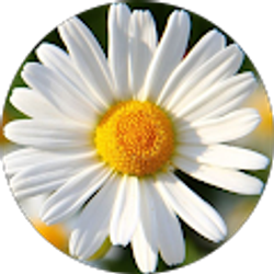 Profile photo of Olivia Jarrett