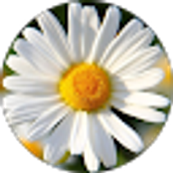 Profile photo of Olivia Jarrett